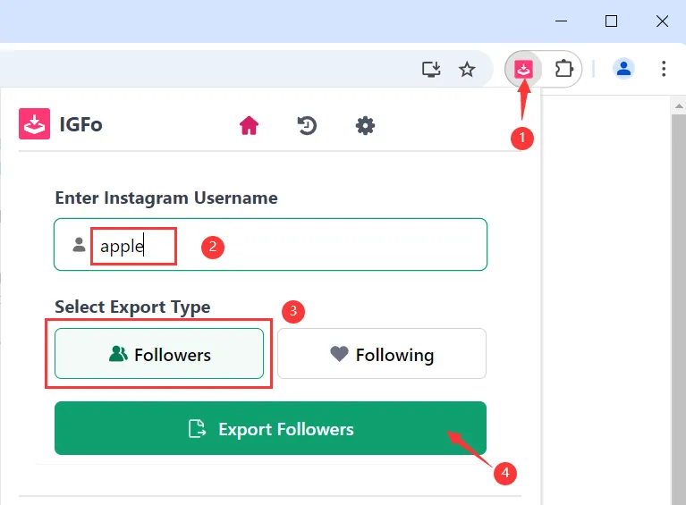 Export Instagram Followers with IGFo